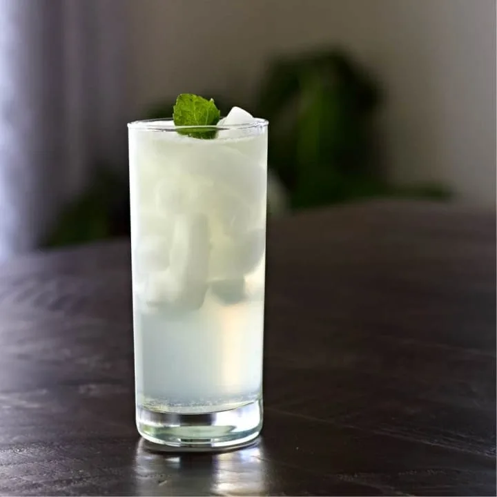 Native Fizz