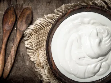PLAIN YOGURT