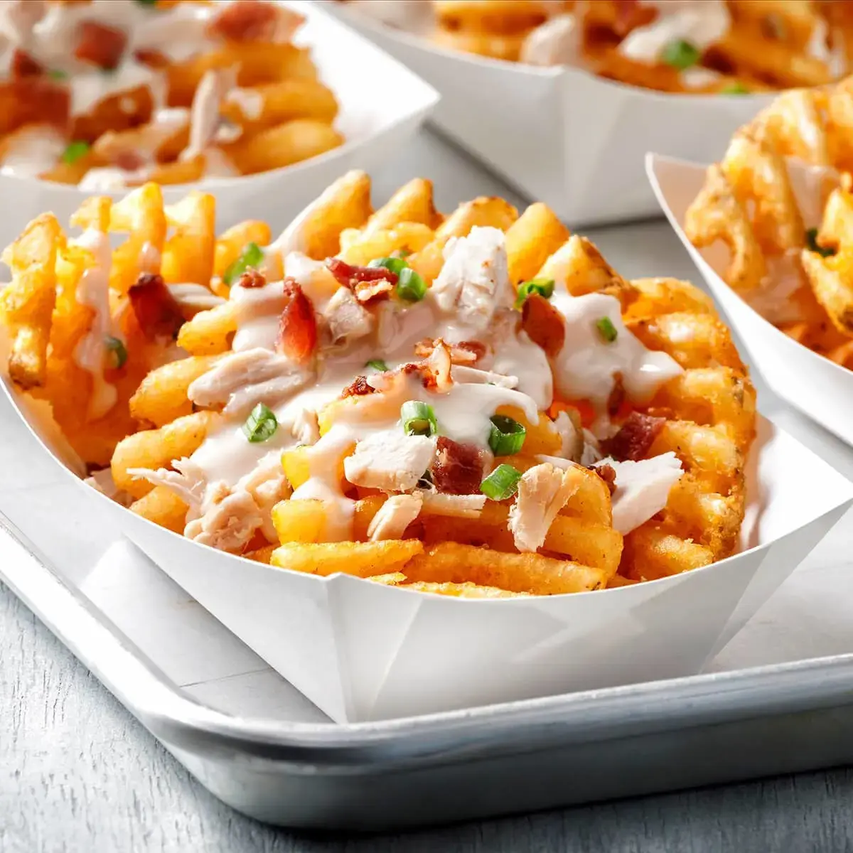 Loaded fries