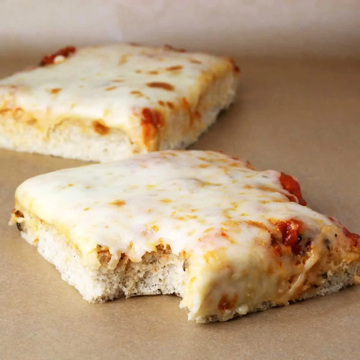 Plain Cheese Pizza